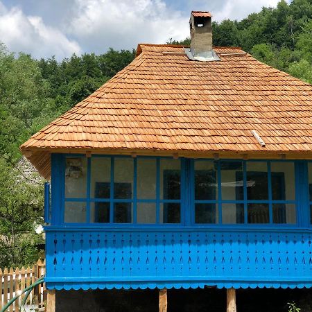 Casa Albastra Villa Băile Olăneşti Eksteriør bilde