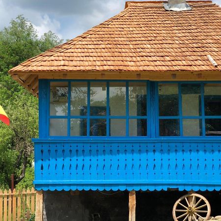 Casa Albastra Villa Băile Olăneşti Eksteriør bilde