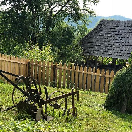 Casa Albastra Villa Băile Olăneşti Eksteriør bilde