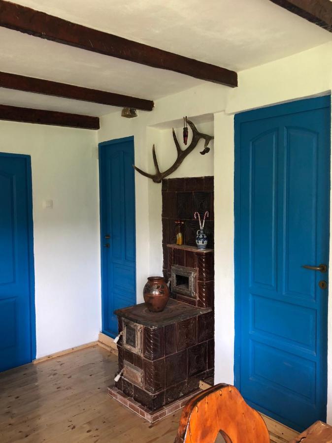 Casa Albastra Villa Băile Olăneşti Eksteriør bilde