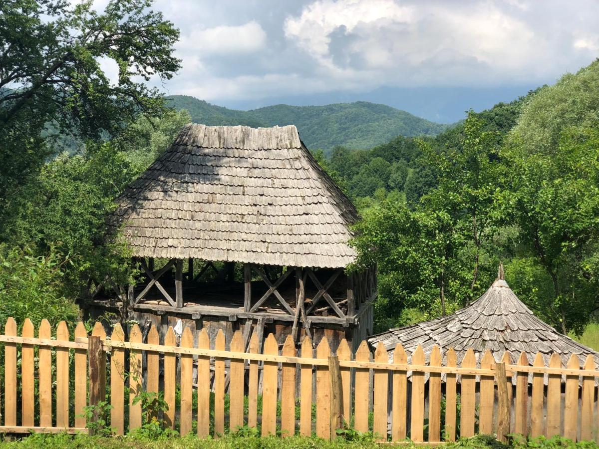 Casa Albastra Villa Băile Olăneşti Eksteriør bilde
