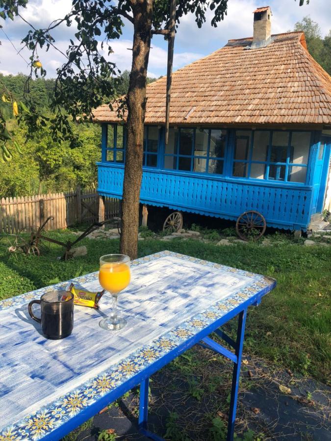 Casa Albastra Villa Băile Olăneşti Eksteriør bilde