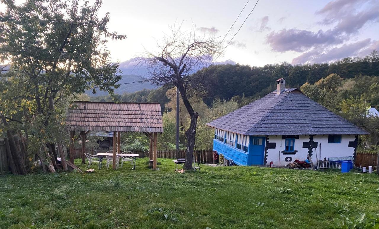 Casa Albastra Villa Băile Olăneşti Eksteriør bilde